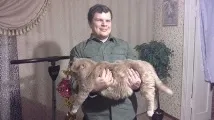 вашата котка вашата котка