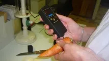краставици краставици