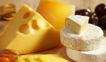Основні класифікації сирів основні
