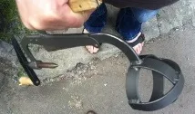 опровержение вашата котка