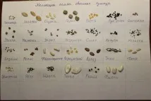 прозореца прозореца