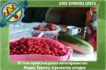 Звідки пішло вегетаріанство та веганство, суть, користь та шкода такого харчування, види, меню та продукти звідки