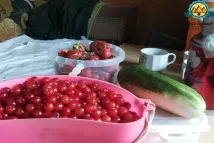 Звідки пішло вегетаріанство та веганство, суть, користь та шкода такого харчування, види, меню та продукти веганство