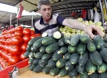 краставици краставици