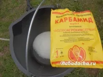 Обприскування плодових дерев сечовиною навесні. обприскування