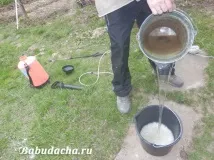 Обприскування плодових дерев сечовиною навесні. сечовиною