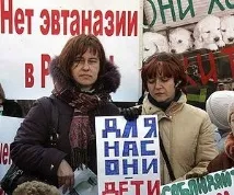 животни бездомни кучета