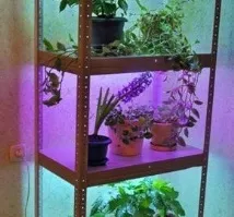 тази статия интериора