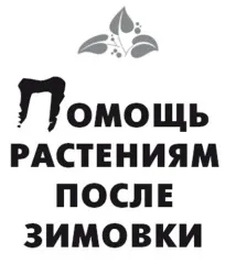 Обприскування плодових дерев сечовиною навесні. плодових