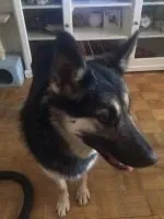 характером