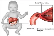новородени новородени
