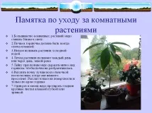 стайни стайни