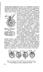 лопатена