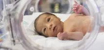 недоносени недоносени