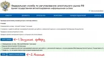 Підключення до ЄДАІС, НВІС Допомога нвіс