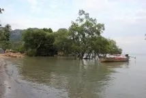 снимки краби
