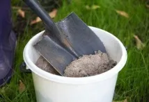 Підживлення смородини для покращення врожайності кущів смородини
