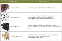 Користь квасолі при підвищеному холестерині користь