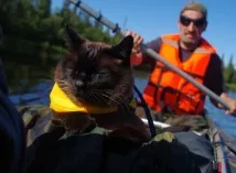 корисності