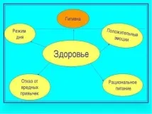 вземат предвид правила