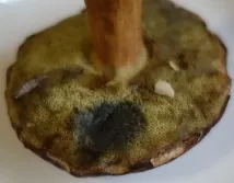 полска полска