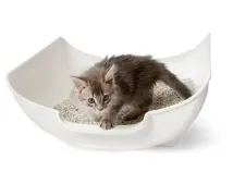 диарея котка