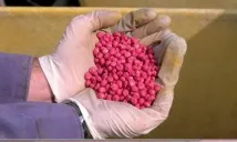 Протруйники насіння огляд препаратів, принцип дії та відгуки насіння