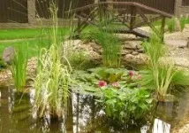 Проектування водойми на садовій ділянці ділянки