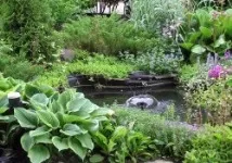 Проектування водойми на садовій ділянці ділянки