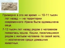 Презентація на тему - Приручення тварин - по навколишньому світу для 1 класу презентація