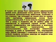 Презентація на тему - Приручення тварин - по навколишньому світу для 1 класу приручення