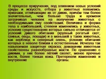 Презентація на тему - Приручення тварин - по навколишньому світу для 1 класу презентація