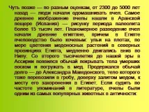 Презентація на тему - Приручення тварин - по навколишньому світу для 1 класу приручення