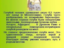 Презентація на тему - Приручення тварин - по навколишньому світу для 1 класу тему