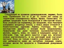 Презентація на тему - Приручення тварин - по навколишньому світу для 1 класу приручення