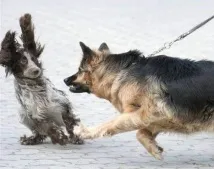 начини поведението