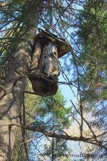 природен deer