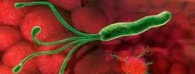 pylori акнето