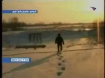 Різне про плавунців різне