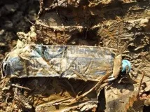 Розкопки німецького бліндажу розкопки