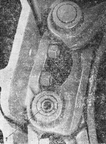гъсеници b-170