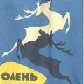 Ріг () 5 букв - пошук слів по масці та визначенню, відповіді на сканворди букв