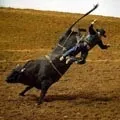 Ріг () 5 букв - пошук слів по масці та визначенню, відповіді на сканворди слів