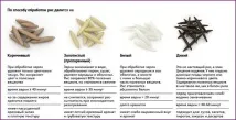Рецепти страв для правильного харчування для схуднення - понад 10 найкращих рецептів правильного