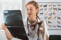 рентгенова снимка
