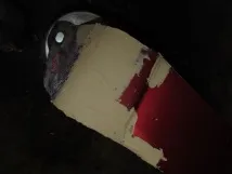 переднього