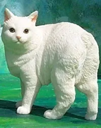 породи