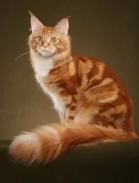 коштує
