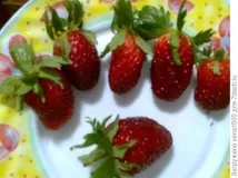 Садова суниця (полуниця) вирощування з насіння вирощування