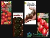 Найврожайніші сорти помідорів для весняно-літньої теплиці сорти